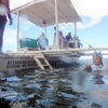 Picture taken during the dive