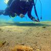Picture taken during the dive