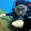 Picture taken during the dive