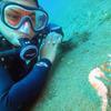 Picture taken during the dive