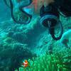 Picture taken during the dive