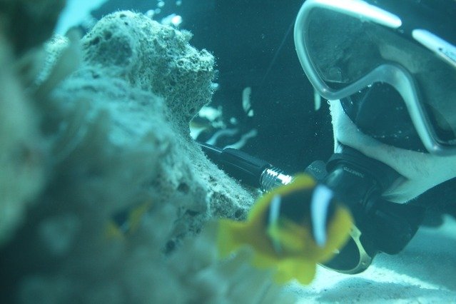 Golden Dolphin - Dive Center in Egypt