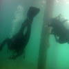 Picture taken during the dive
