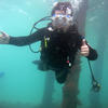 Picture taken during the dive
