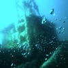 Picture taken during the dive