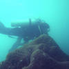 Picture taken during the dive