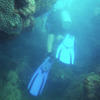 Picture taken during the dive
