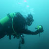 Picture taken during the dive
