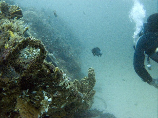 Frontier Scuba Center - Dive Center in United States