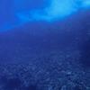 Picture taken during the dive