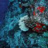 Picture taken during the dive