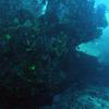 Picture taken during the dive