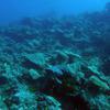 Picture taken during the dive