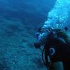 Picture taken during the dive