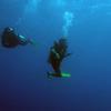 Picture taken during the dive