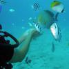 Picture taken during the dive