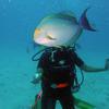 Picture taken during the dive