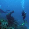 Picture taken during the dive