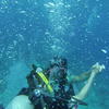 Picture taken during the dive