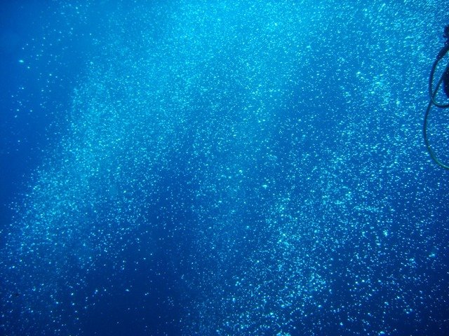 Kata Diving Service - Dive Center in Thailand