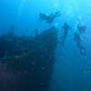 Picture taken during the dive