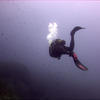 Picture taken during the dive