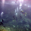 Picture taken during the dive