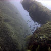 Picture taken during the dive