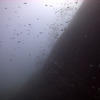 Picture taken during the dive