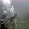 Picture taken during the dive