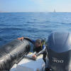 Picture taken during the dive