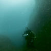 Picture taken during the dive
