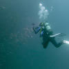 Picture taken during the dive