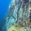 Picture taken during the dive