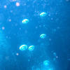 Picture taken during the dive