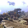 Picture taken during the dive