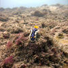 Picture taken during the dive