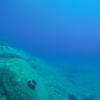 Picture taken during the dive