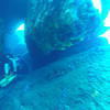 Picture taken during the dive