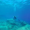 Picture taken during the dive