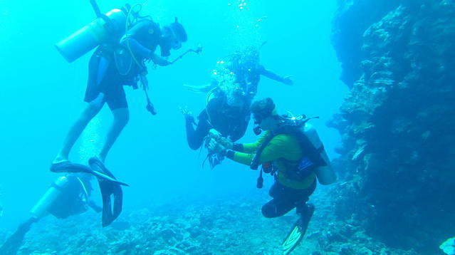 Diving in United States, Hawaii Lanai - By Mike T.