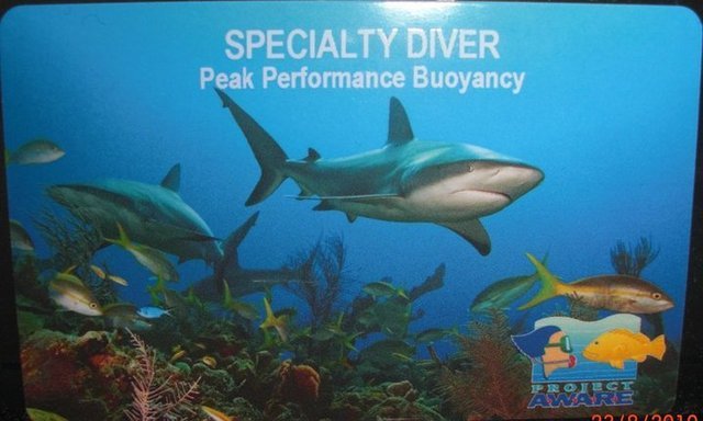Nærøy Dykk - Dive Center