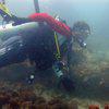 Picture taken during the dive