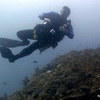 Picture taken during the dive
