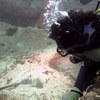 Picture taken during the dive