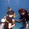 Picture taken during the dive