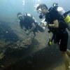Picture taken during the dive