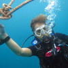 Picture taken during the dive