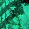 Picture taken during the dive