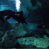 Picture taken during the dive